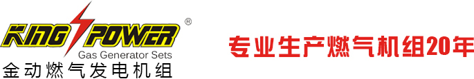 供應天然氣發電機組,天然氣發電機價格,山東天燃氣發電機組,深圳天燃氣發電機,廣東天燃氣發電機,進口天燃氣發電機,沼氣發電機組,沼氣發電機組生產商,沼氣發電機廠家,供應沼氣發電機,供應沼氣發電機組