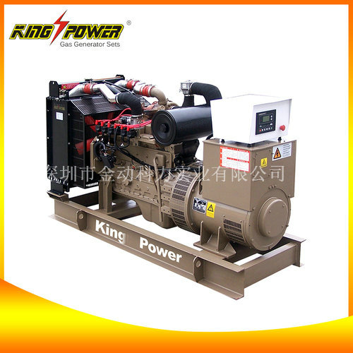【廣東天燃氣發電機】只為造福后代！